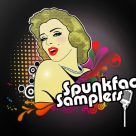 93 Free Minimal, Glitch And Texture Samples By Spunkface